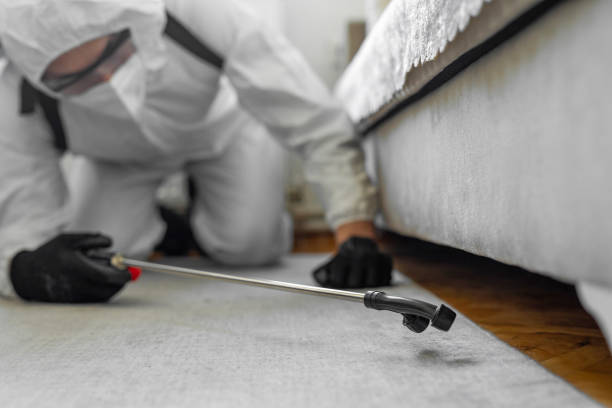 Professional Cockroach Control technician working in Westby, WI