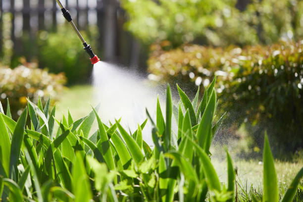 24/7 Emergency Cockroach Control experts in Westby, WI