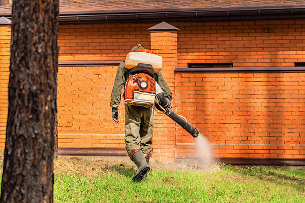 Trusted Ant Control service in Westby, WI - Nex Pest Control